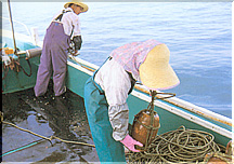 水産王国えひめ